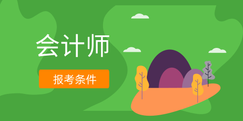 初级会计师 初级会计师